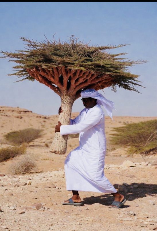 ناشط جنوبي: خروج الإمارات من سقطرى كشف زيف الحملات الموجهة ودوافعها السياسية